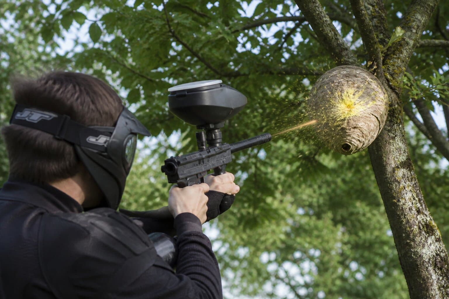 Destruction de nid par fusil paintball